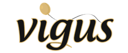 Vigus Logo